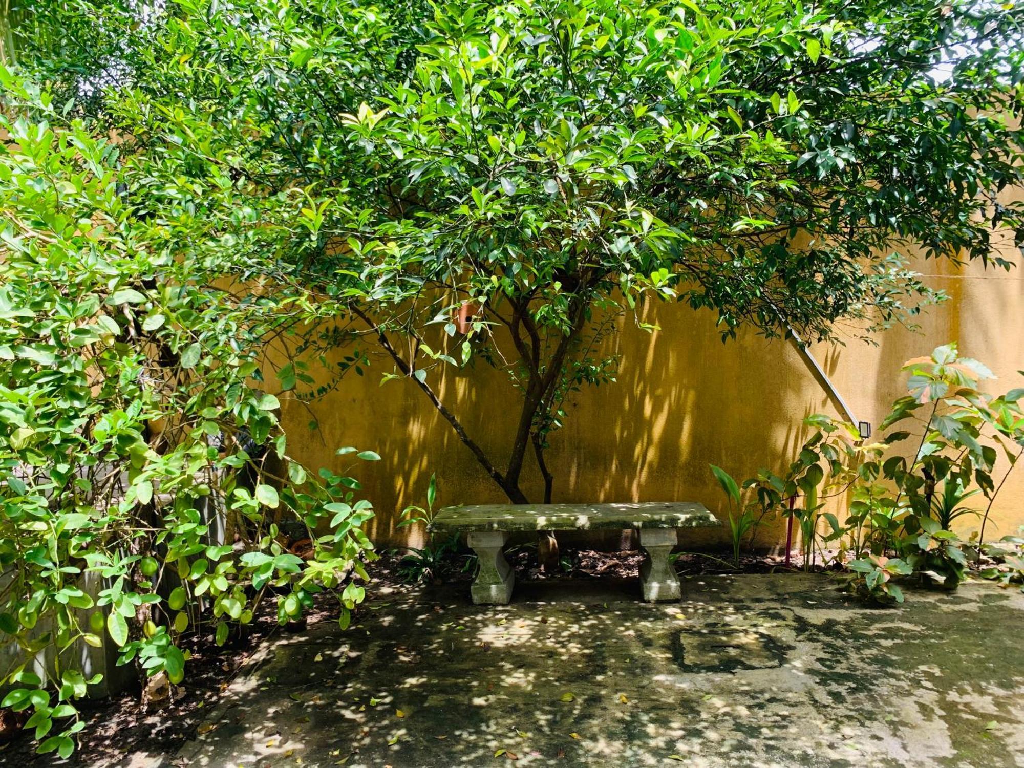 The Hostel Mirissa Exterior foto